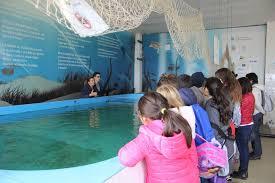 Fondazione Cetacea Onlus